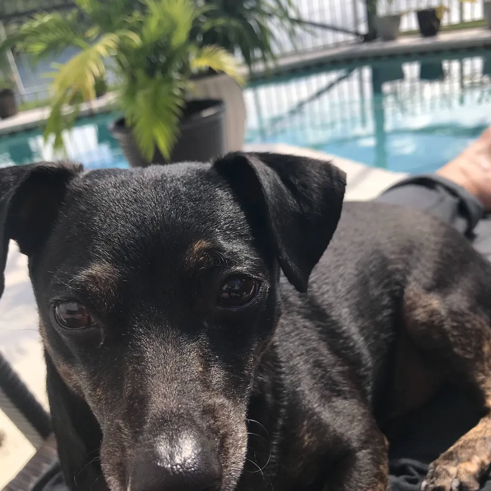 sammij1.bsky.social's profile picture