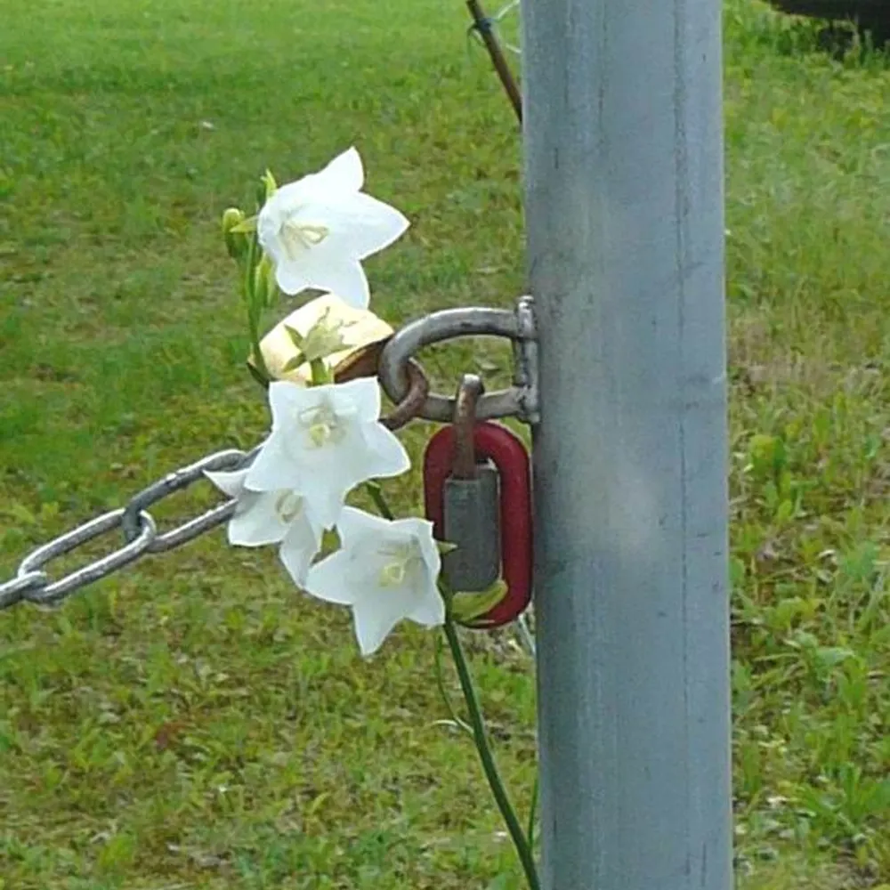 gerdduerner.bsky.social's profile picture