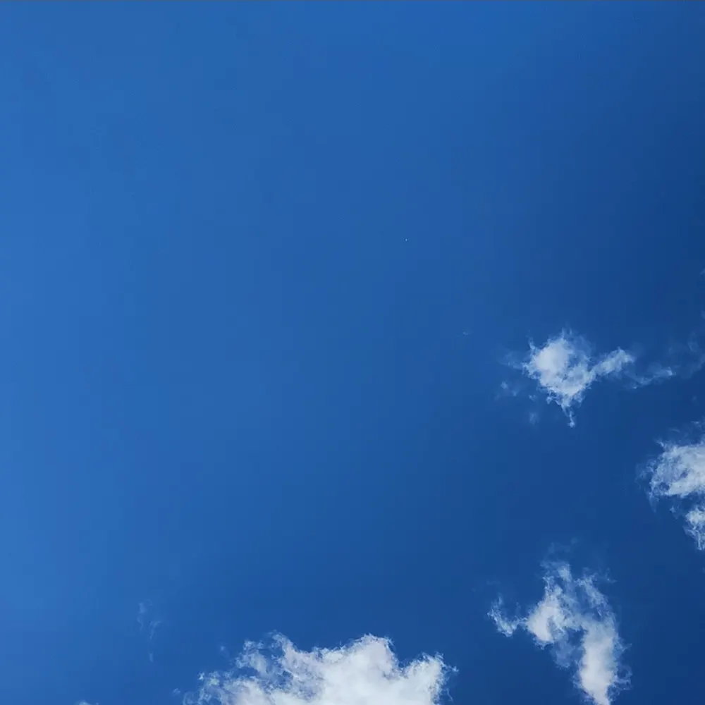 bskywatcher.bsky.social's profile picture