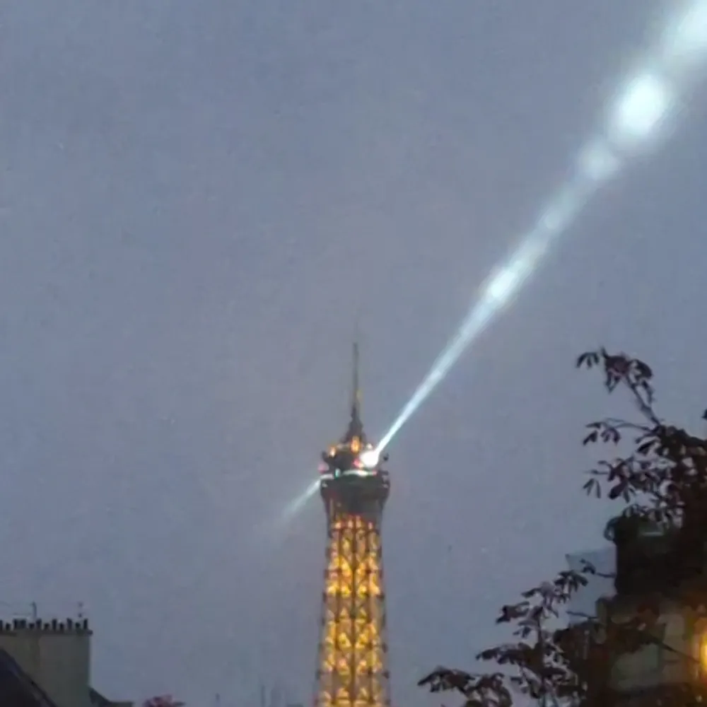 gatorali.bsky.social's profile picture