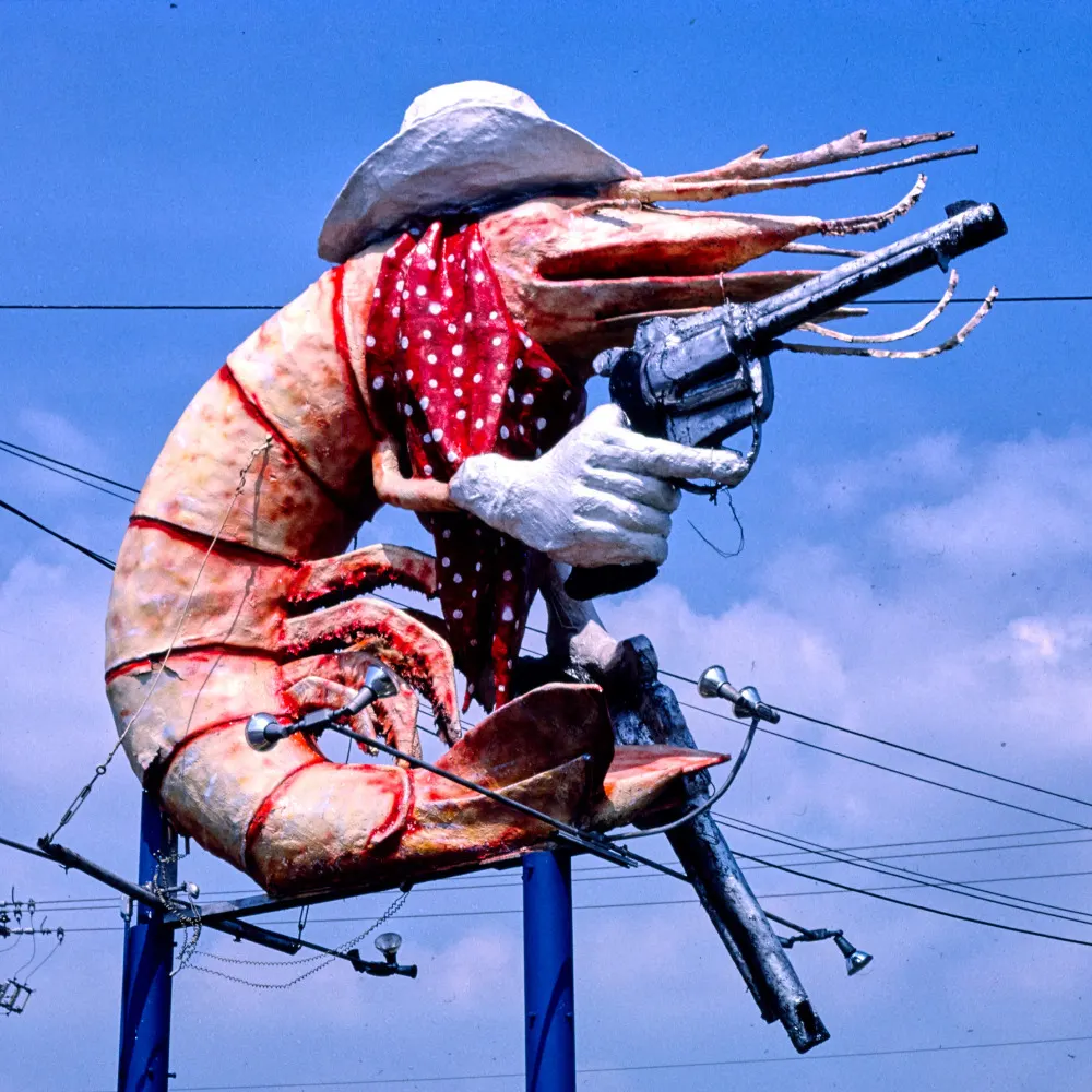 roadside.xor.blue's profile picture