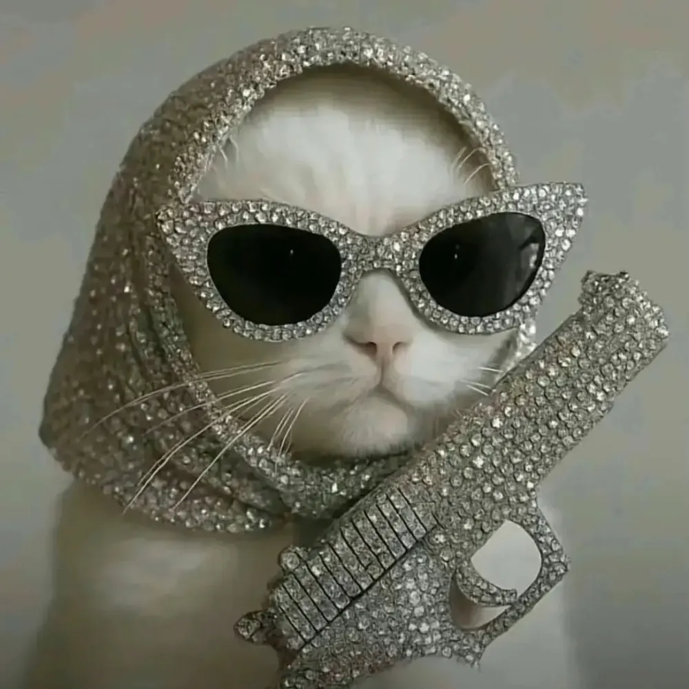 demureandcunty.bsky.social's profile picture