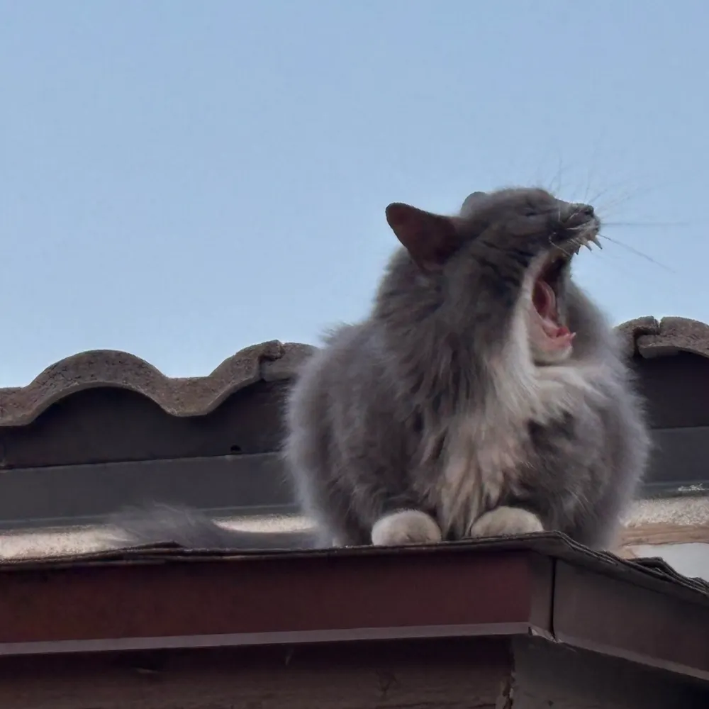 acrossarran.bsky.social's profile picture