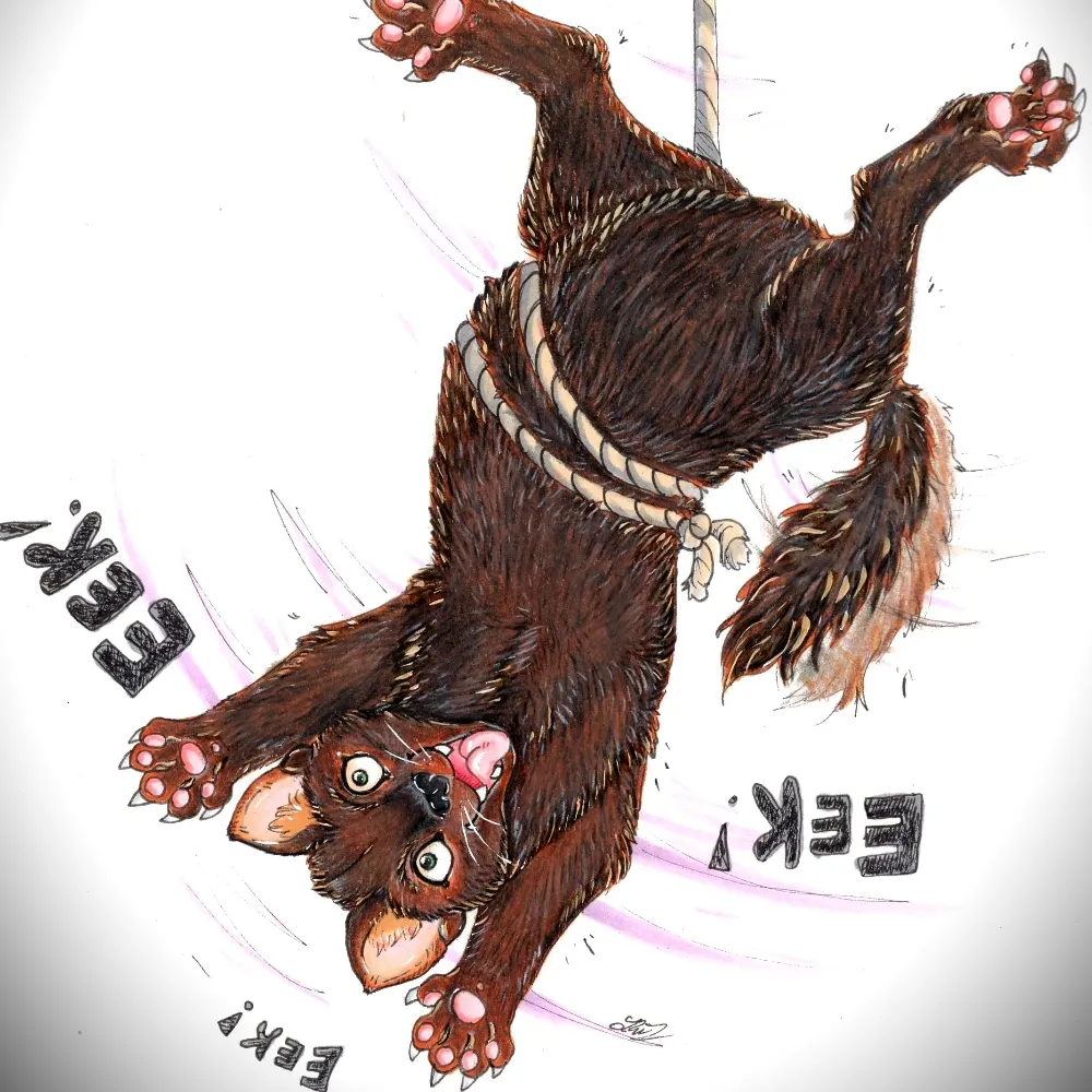 martensaf.bsky.social's profile picture