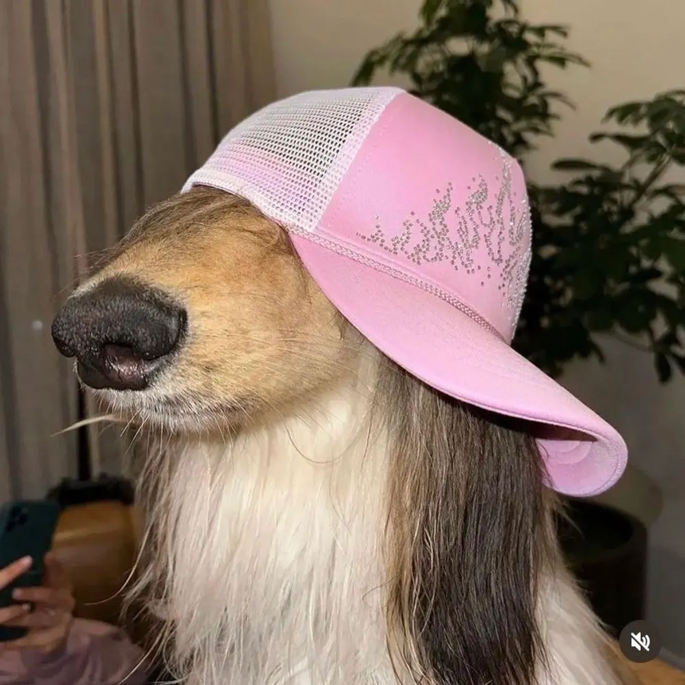 nataliethress.bsky.social's profile picture