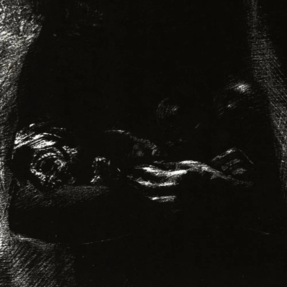 noctiferuntoten.bsky.social's profile picture