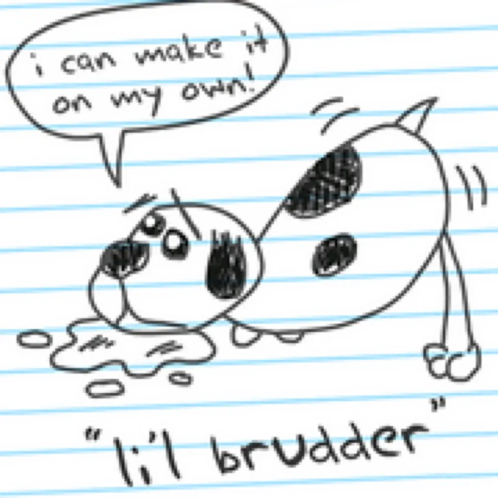 lilbrudder.bsky.social's profile picture