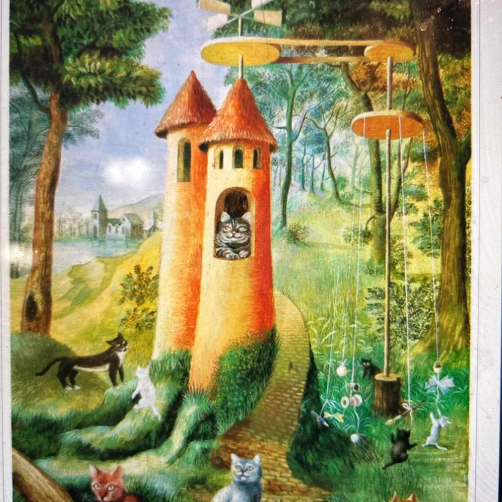 lizamazel.bsky.social's profile picture