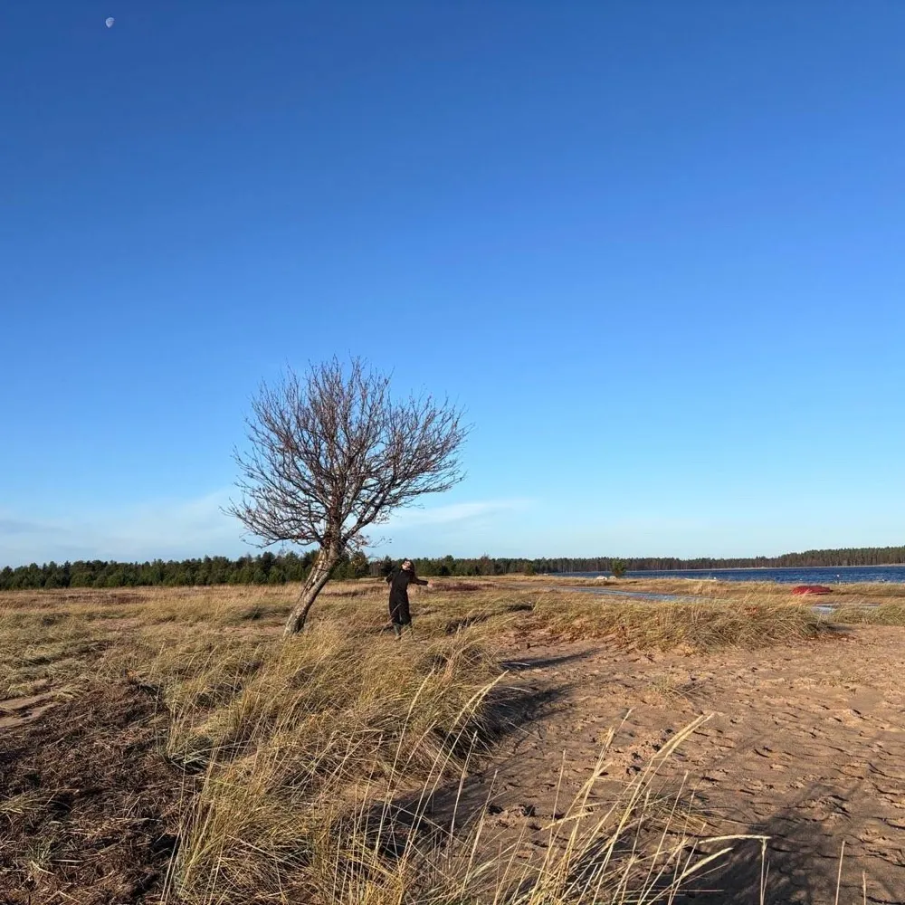 poemproducer.bsky.social's profile picture