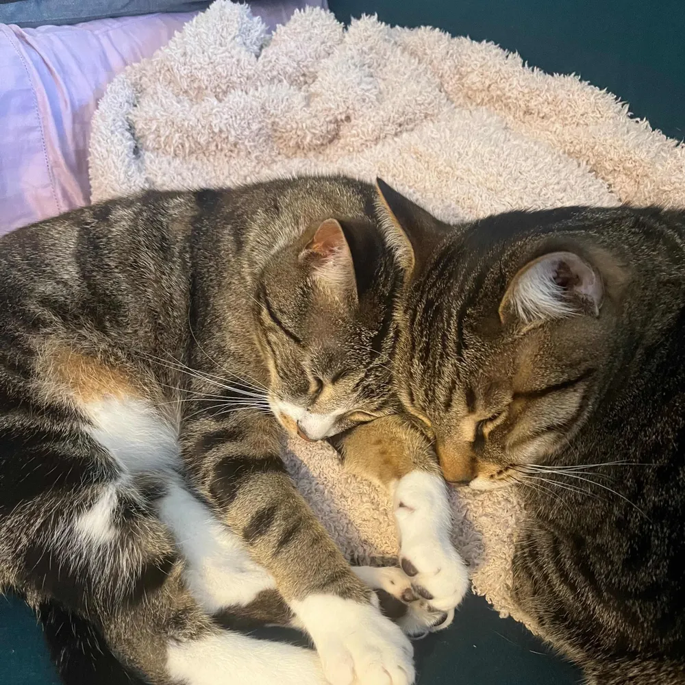 bexone.bsky.social's profile picture