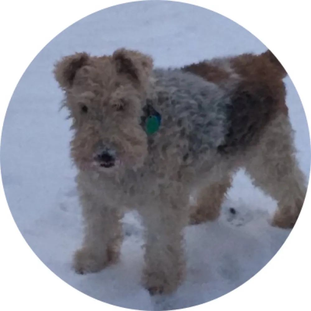 celia11.bsky.social's profile picture