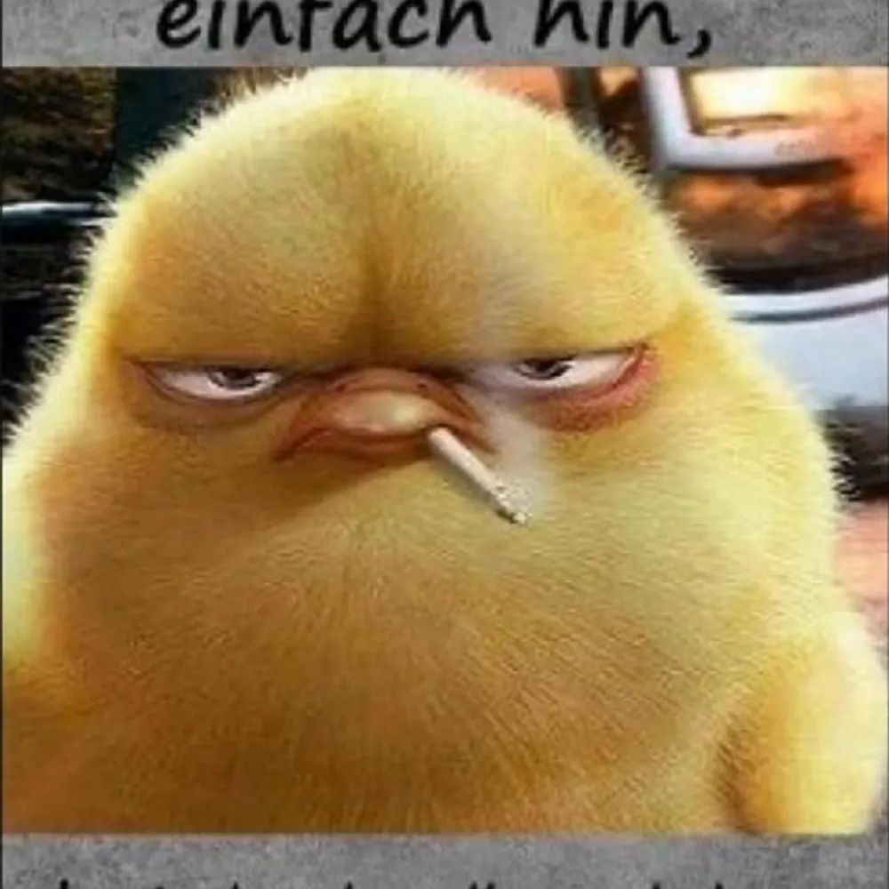 sickoffascsts.bsky.social's profile picture