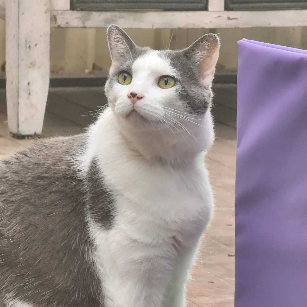 mayamayamaybee.bsky.social's profile picture