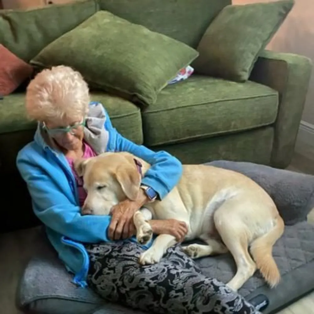 warriorgal.bsky.social's profile picture