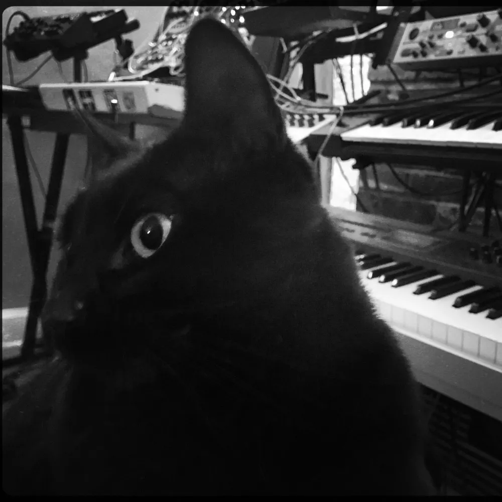 iskeptici.bsky.social's profile picture