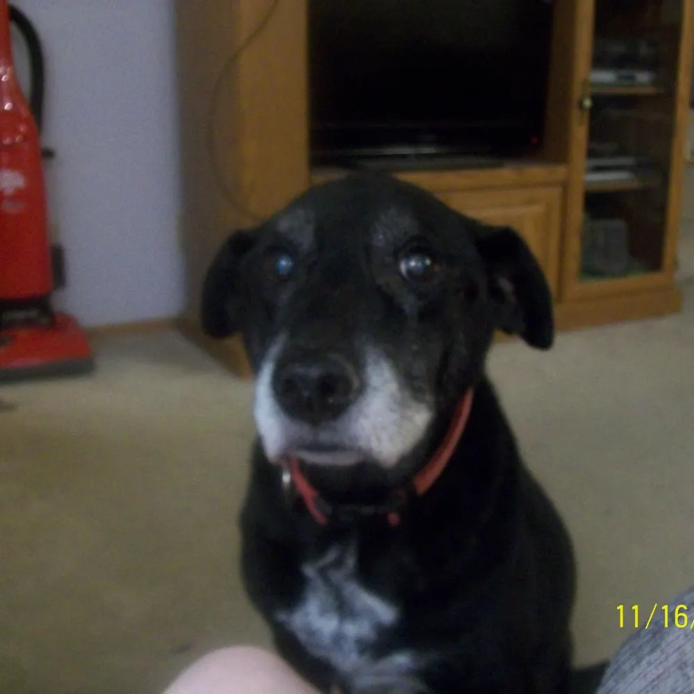 hestia9020.bsky.social's profile picture