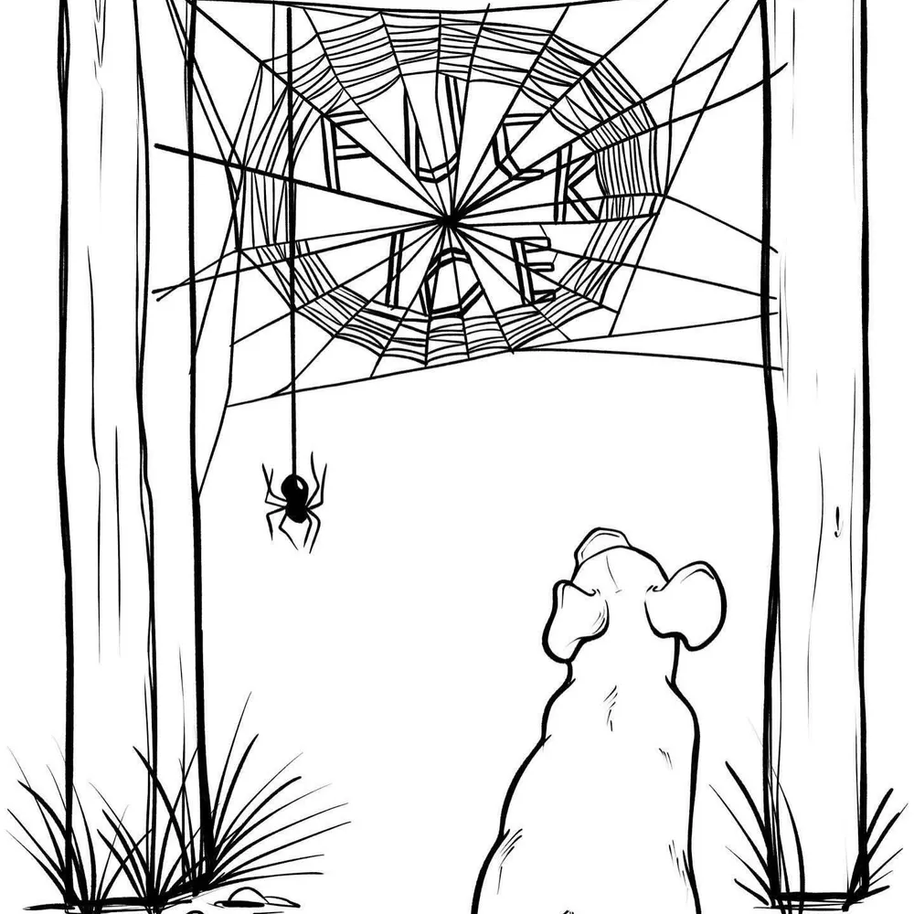 gshep1954.bsky.social's profile picture