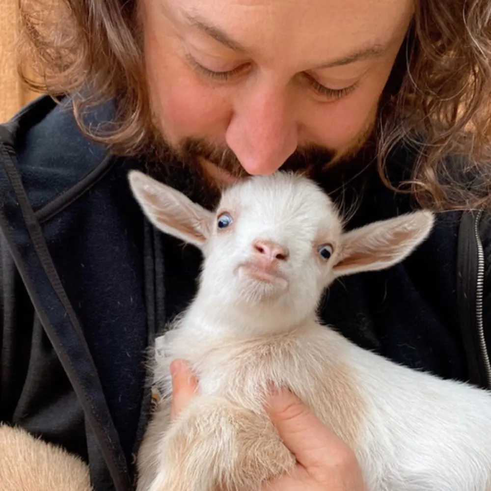 fraying.bsky.social's profile picture