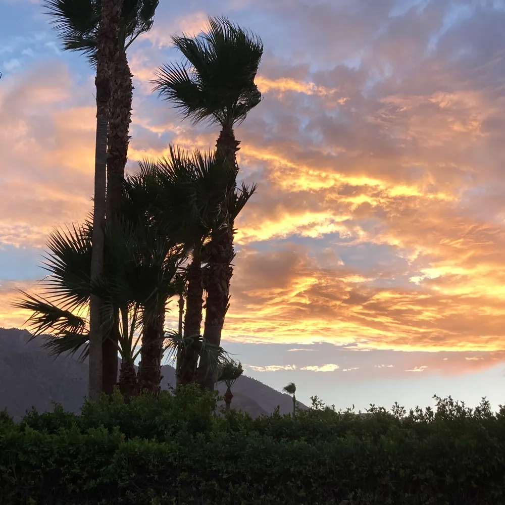 ceeceeps.bsky.social's profile picture