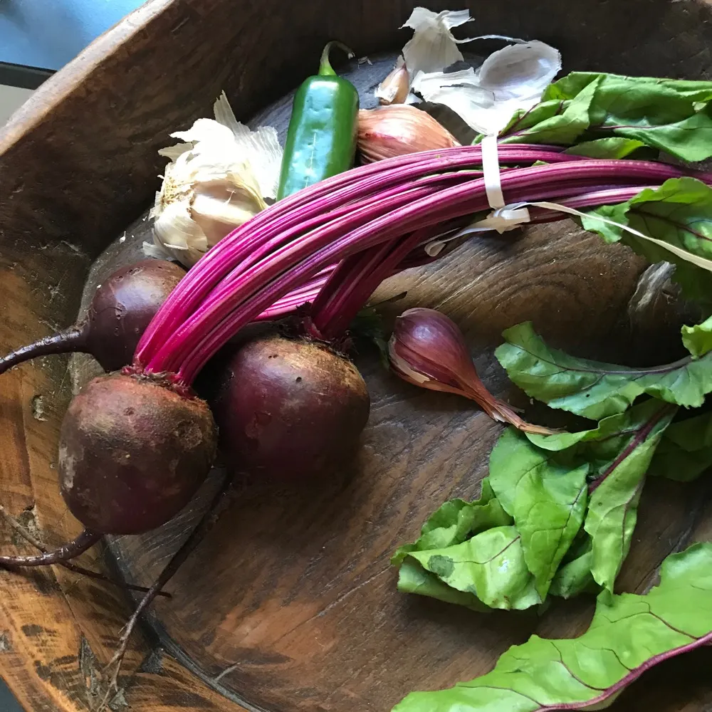 favoritecolorblue.bsky.social's profile picture