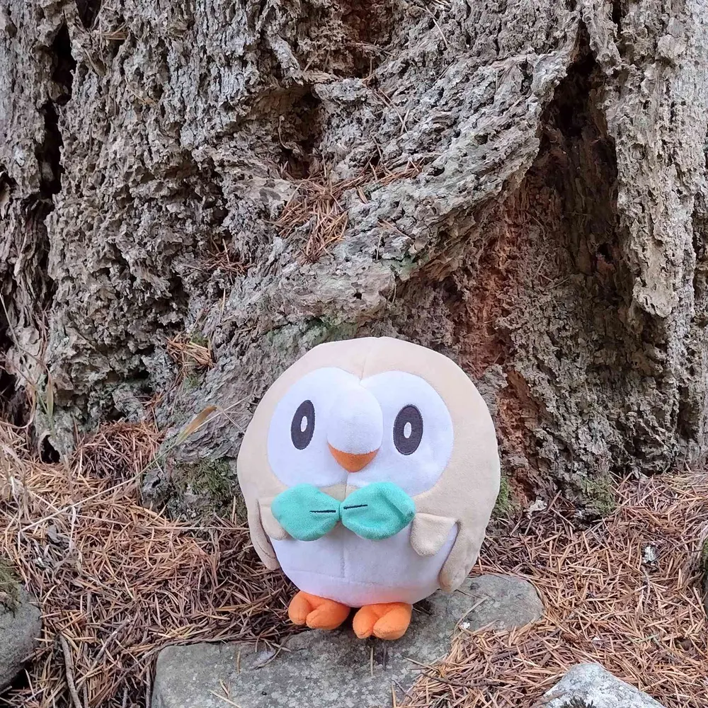 chaosoverlordz.bsky.social's profile picture