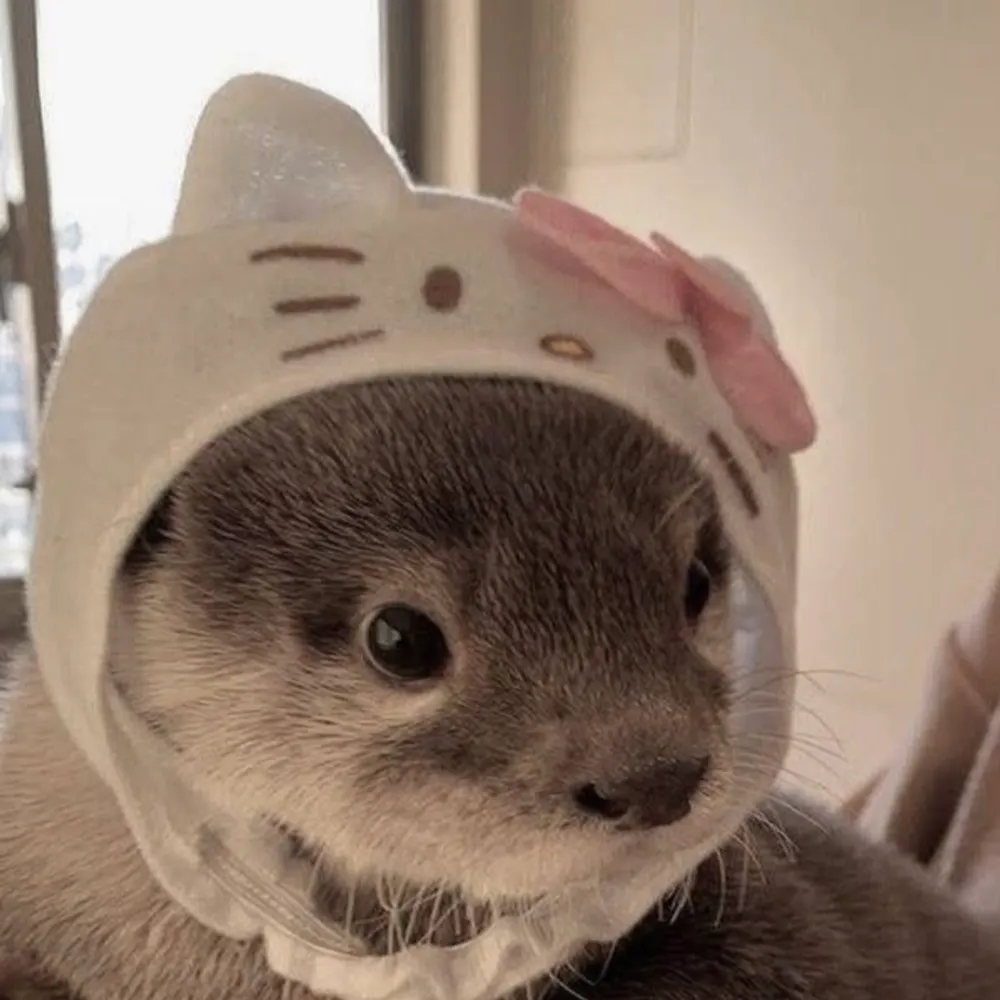 ohmalarkey.bsky.social's profile picture