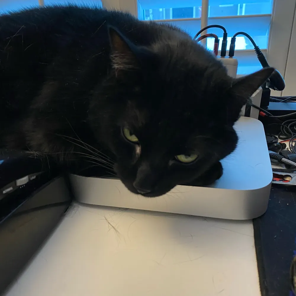 jamesrstrickland.com's profile picture