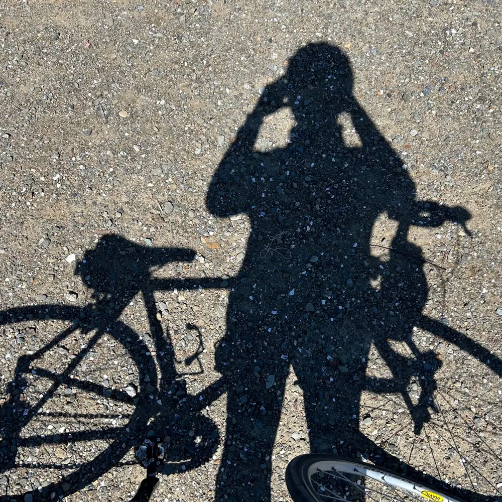 michaelchae.bsky.social's profile picture