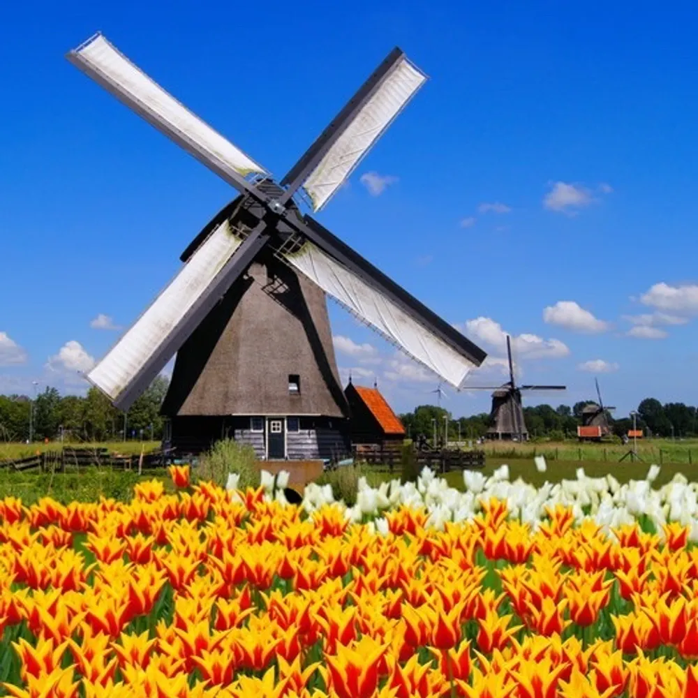 jacobschip.bsky.social's profile picture