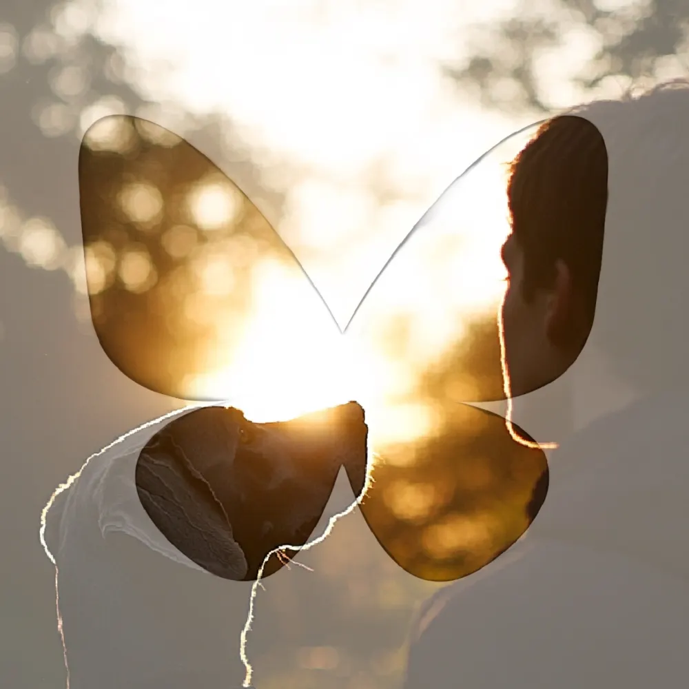 renebatsford.bsky.social's profile picture