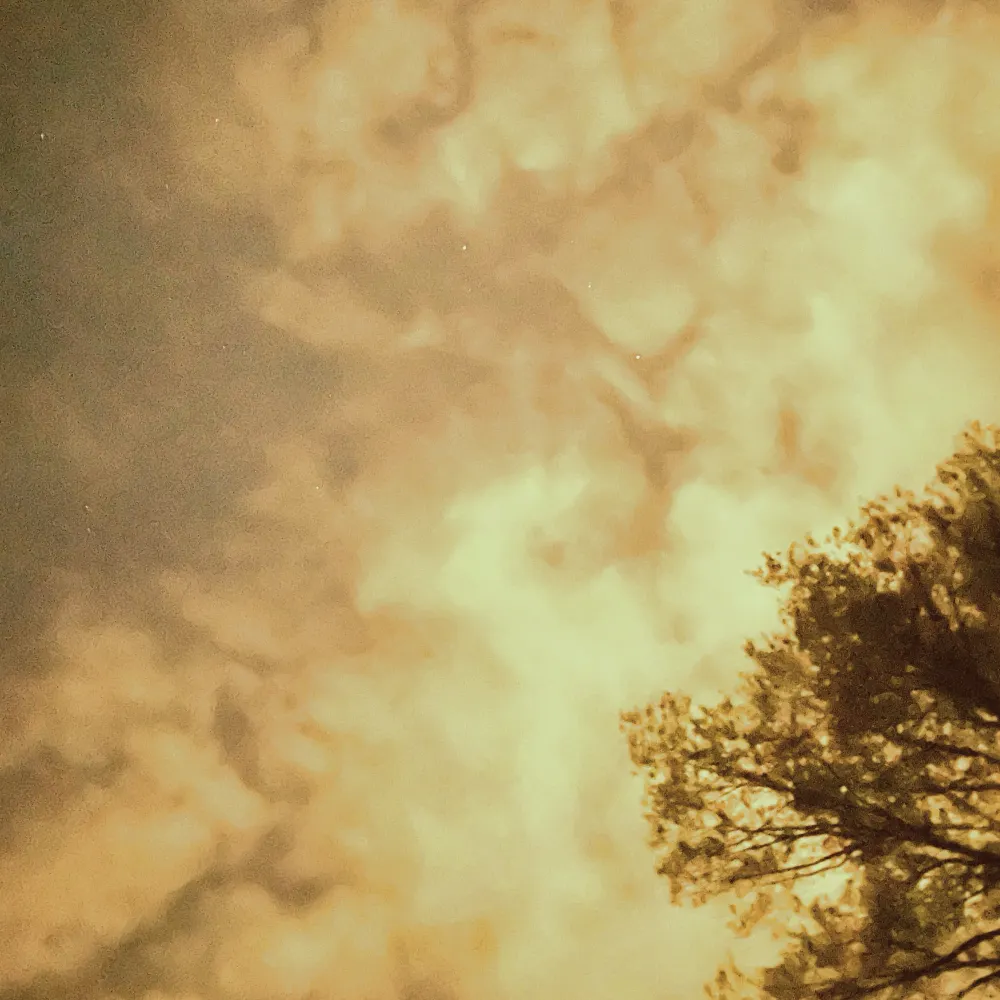 k-r-rose.bsky.social's profile picture