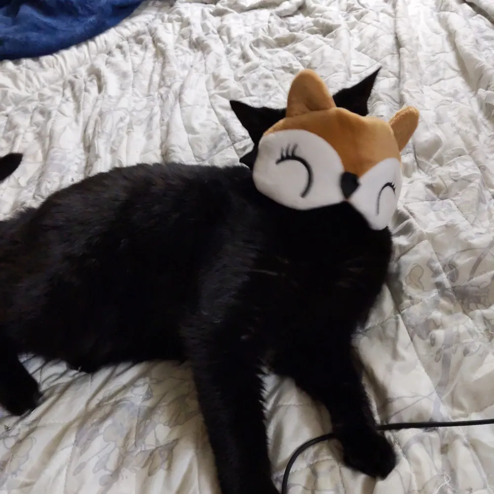 reinnara.bsky.social's profile picture