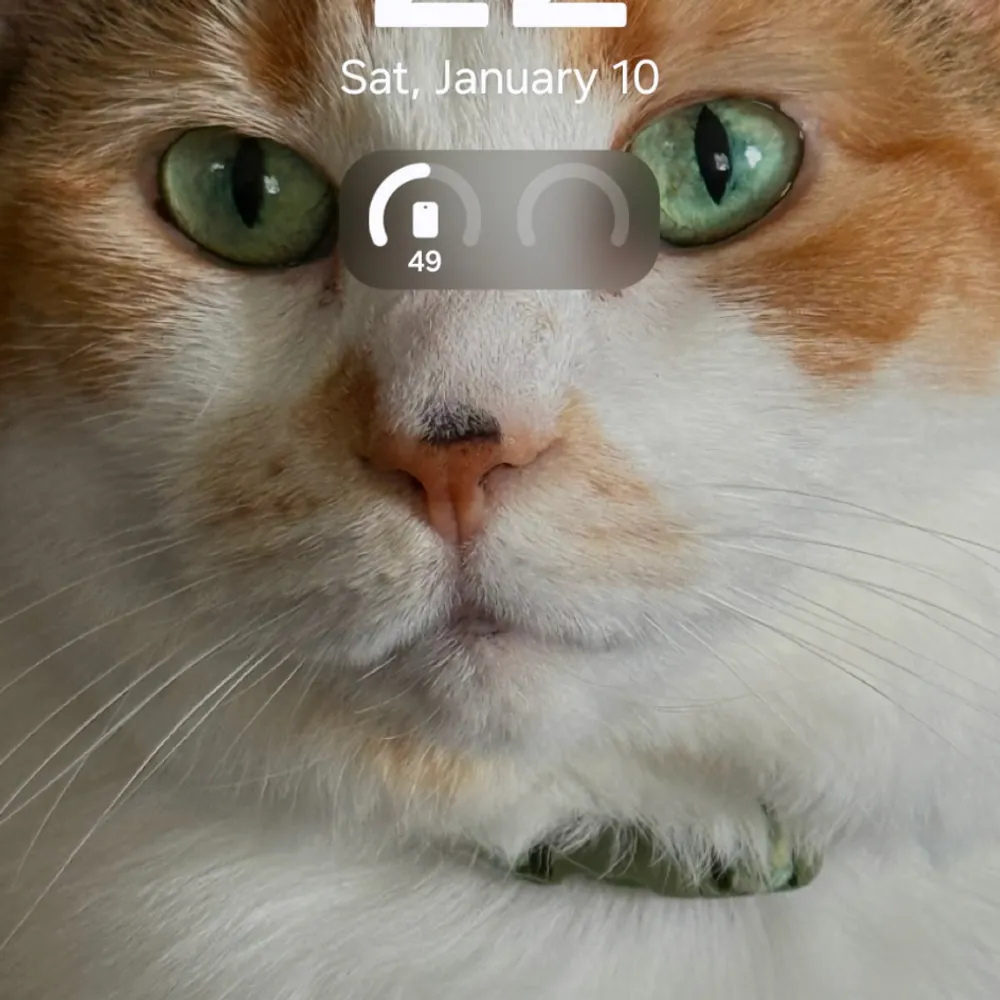 kstan56.bsky.social's profile picture