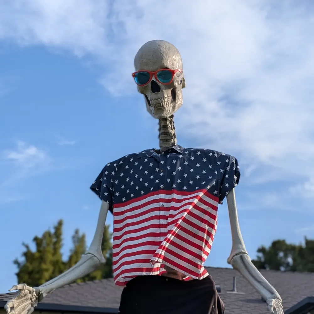 foolishhoomans.bsky.social's profile picture