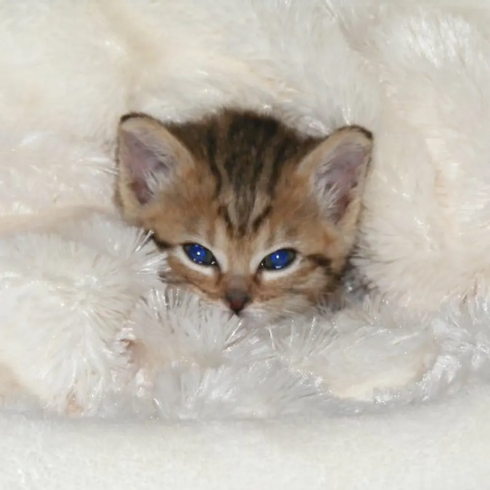 mimimcbroom.bsky.social's profile picture