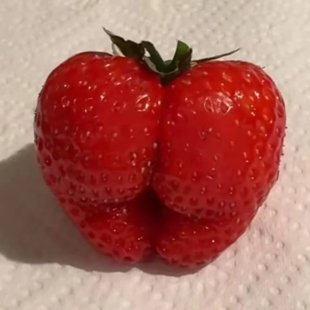 edmasterweb.bsky.social's profile picture