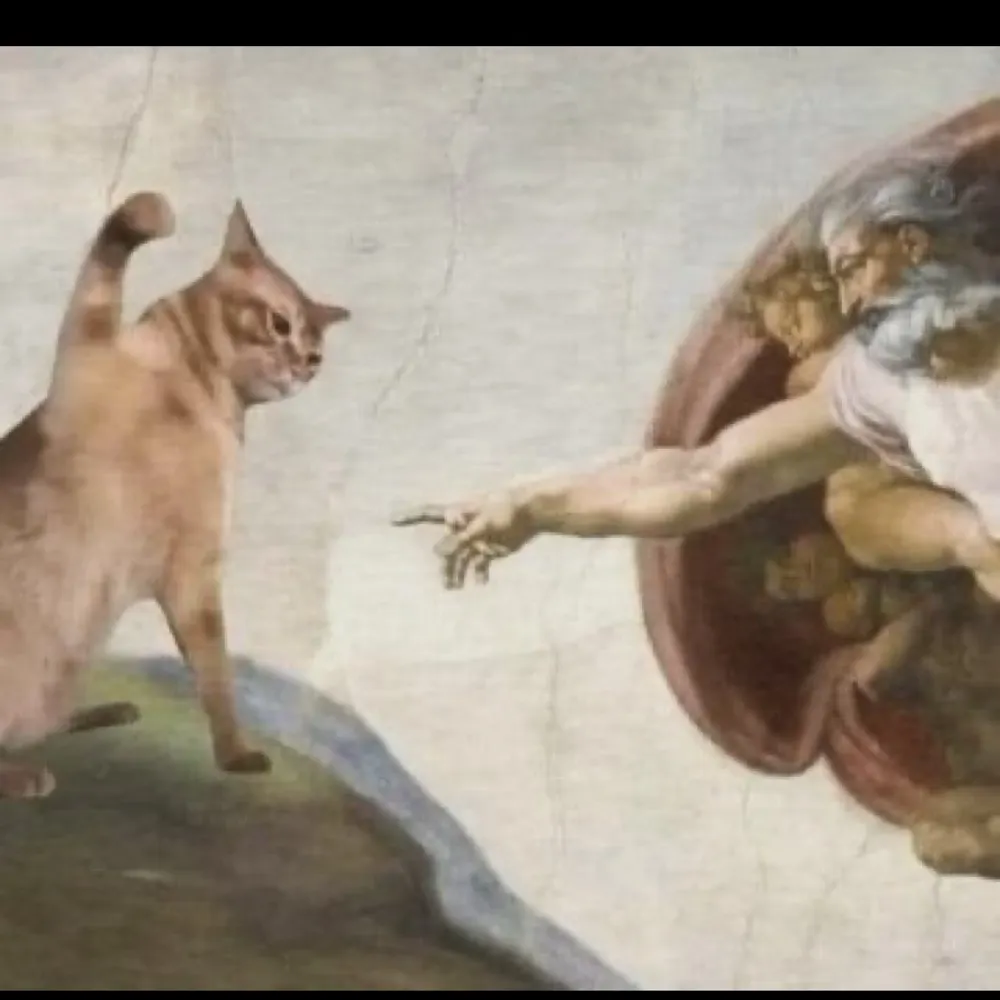 cliftonh.bsky.social's profile picture