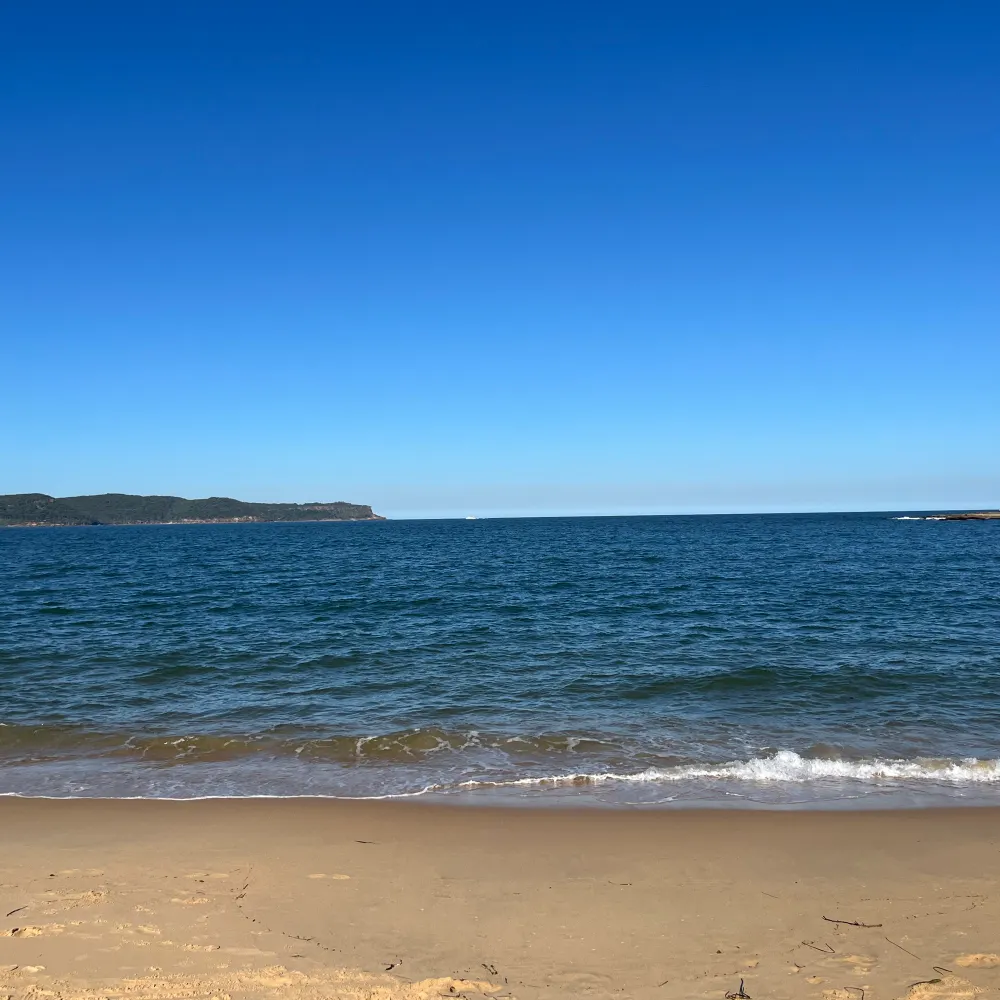 somethingwickedtwd.bsky.social's profile picture