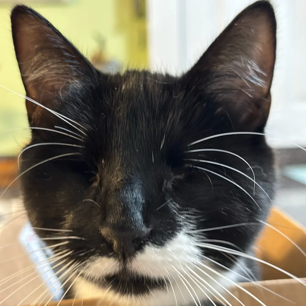 ecervasio.bsky.social's profile picture