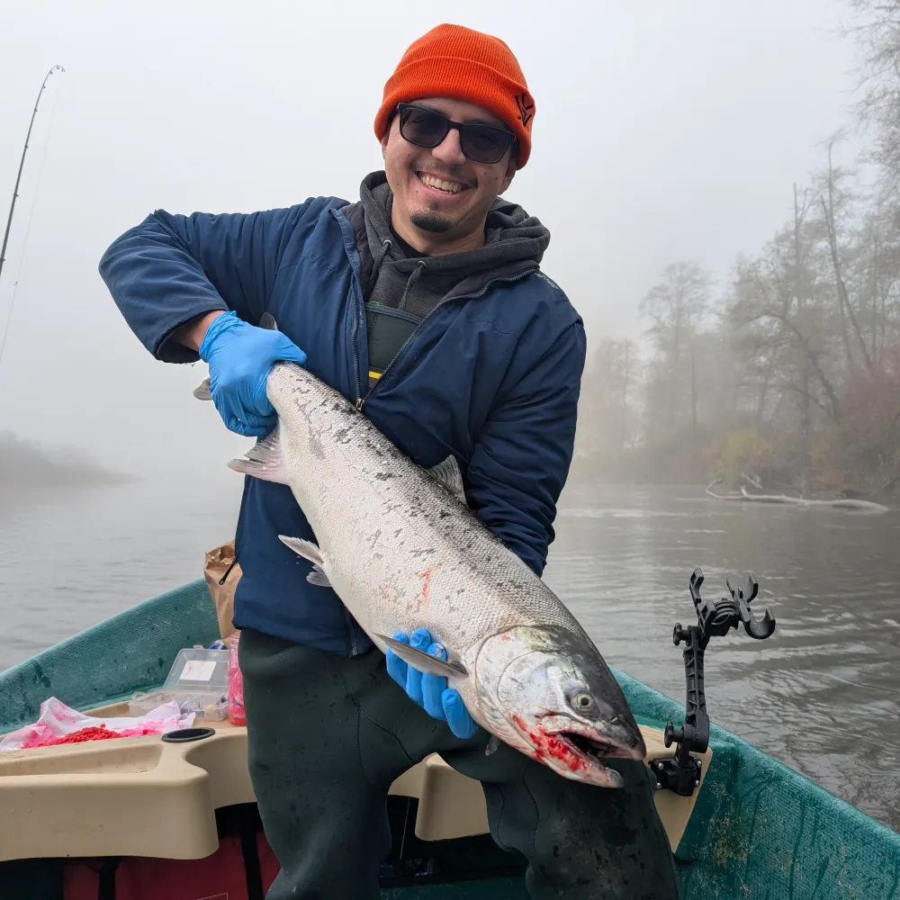 chrisandfish.bsky.social's profile picture