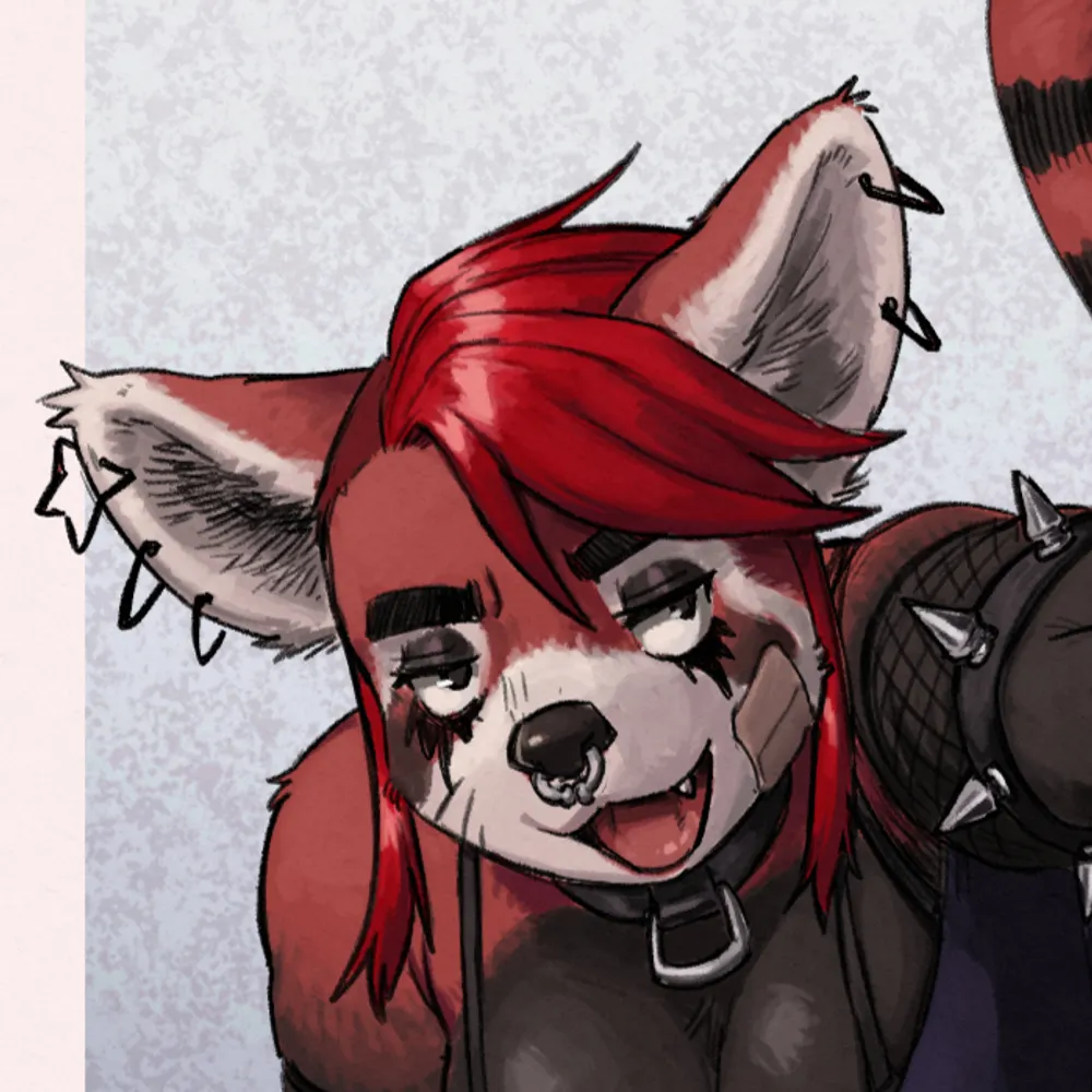 touloutoumou.bsky.social's profile picture