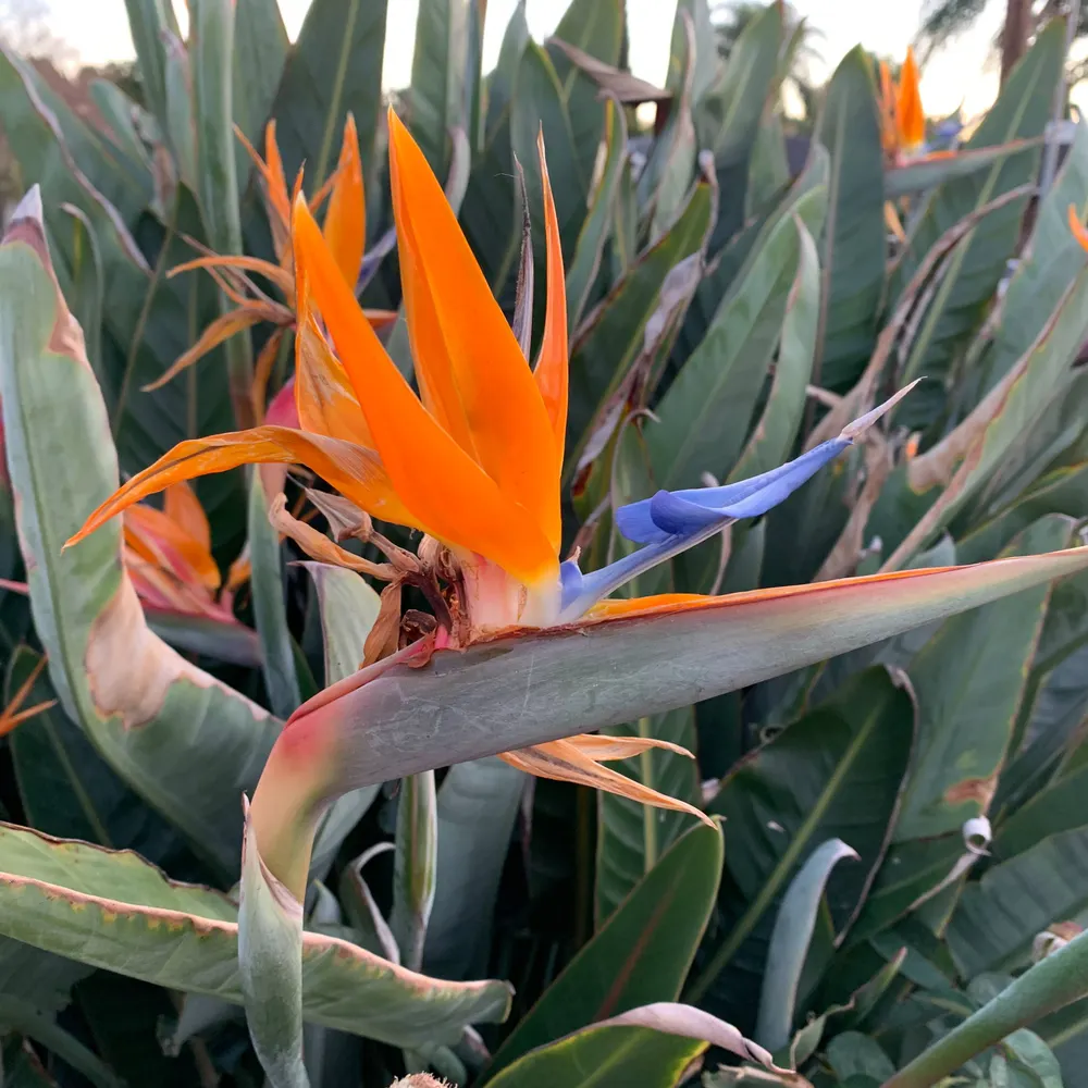 momtomissm99.bsky.social's profile picture