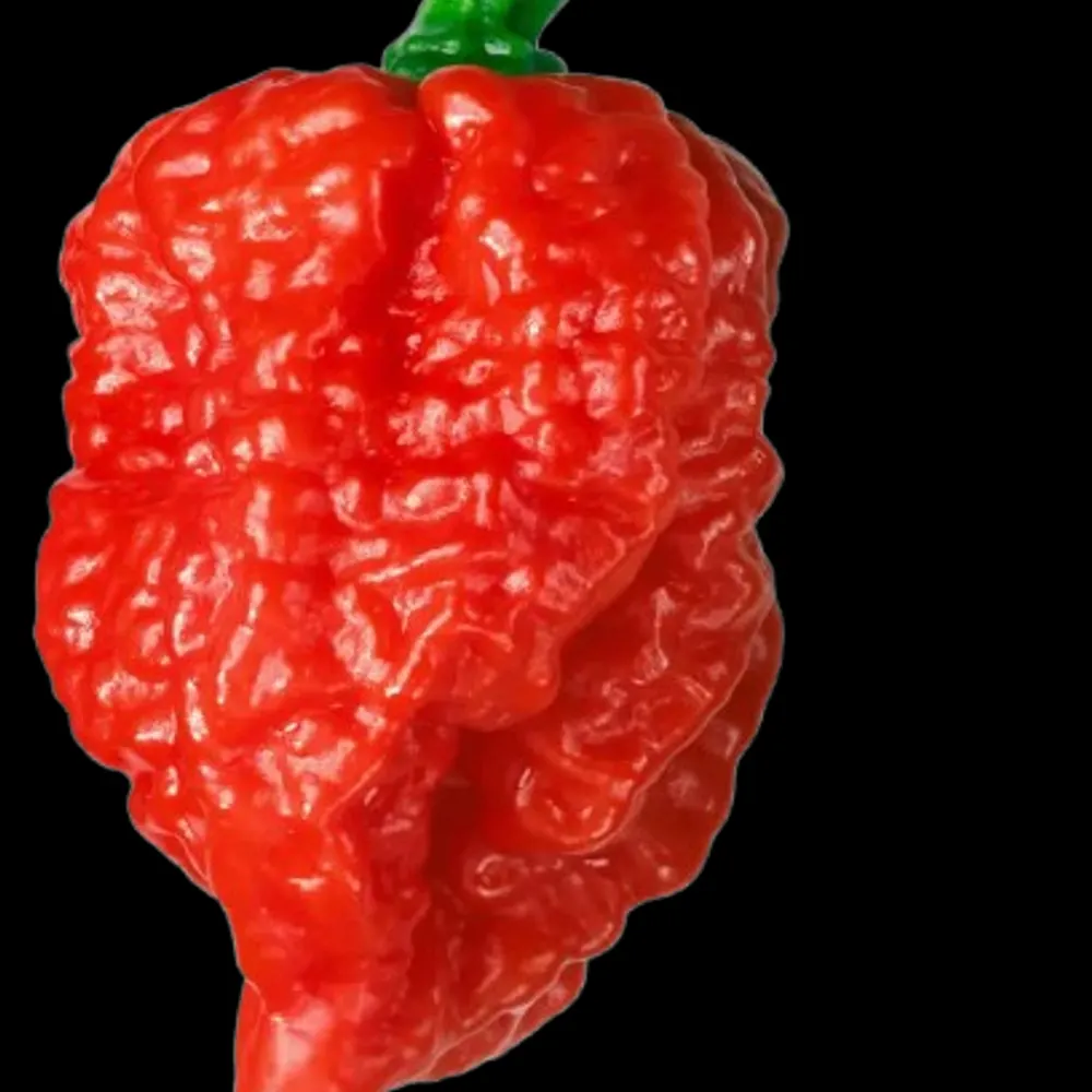 cr0wafterdark.bsky.social's profile picture