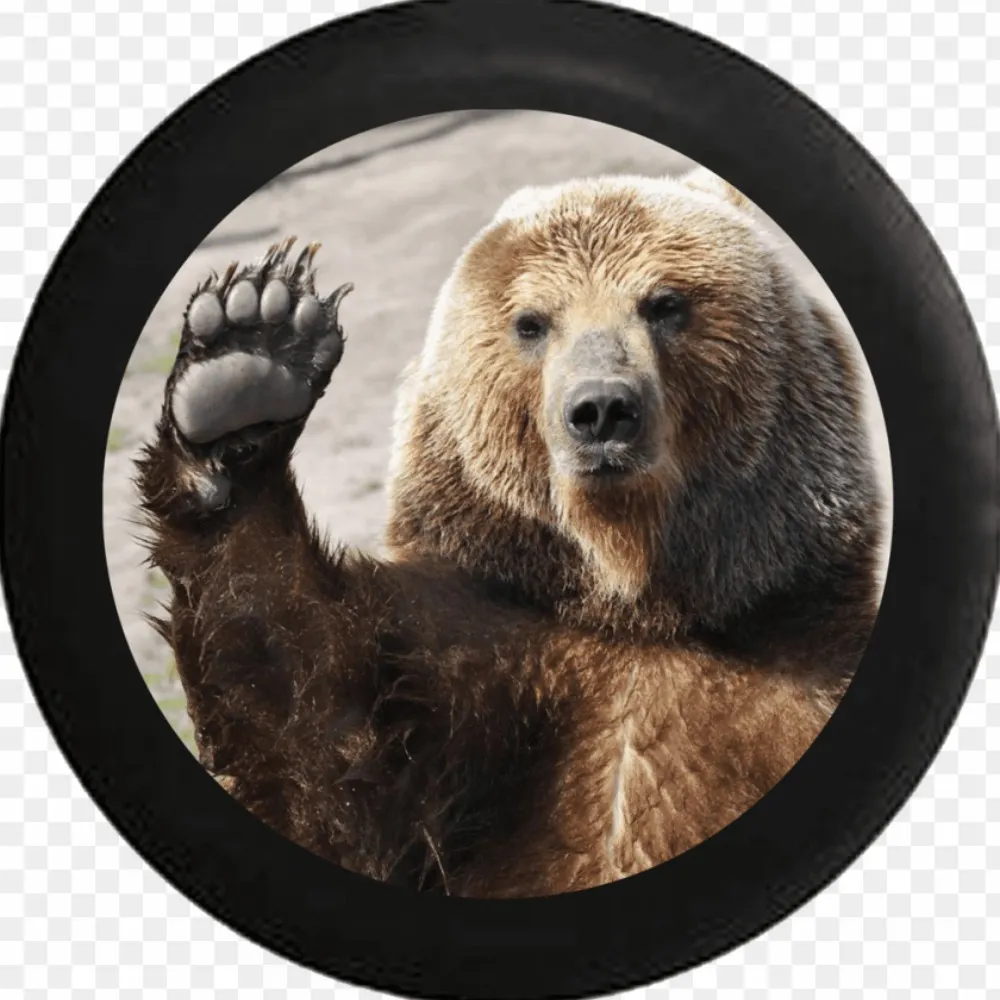 thelittlepakeha.net's profile picture