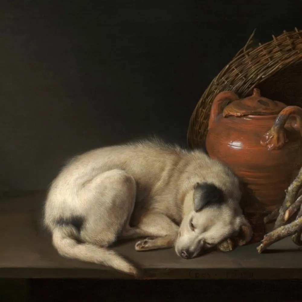 austin-dave.bsky.social's profile picture