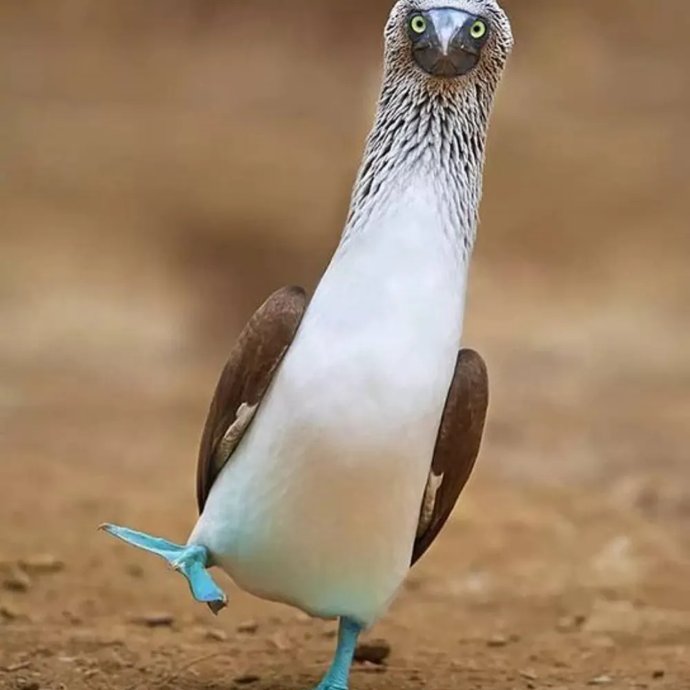 pmlast.bsky.social's profile picture