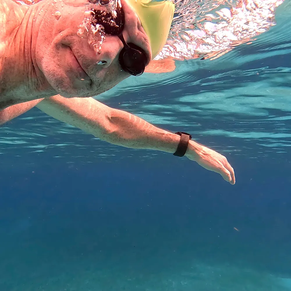 morey000.bsky.social's profile picture