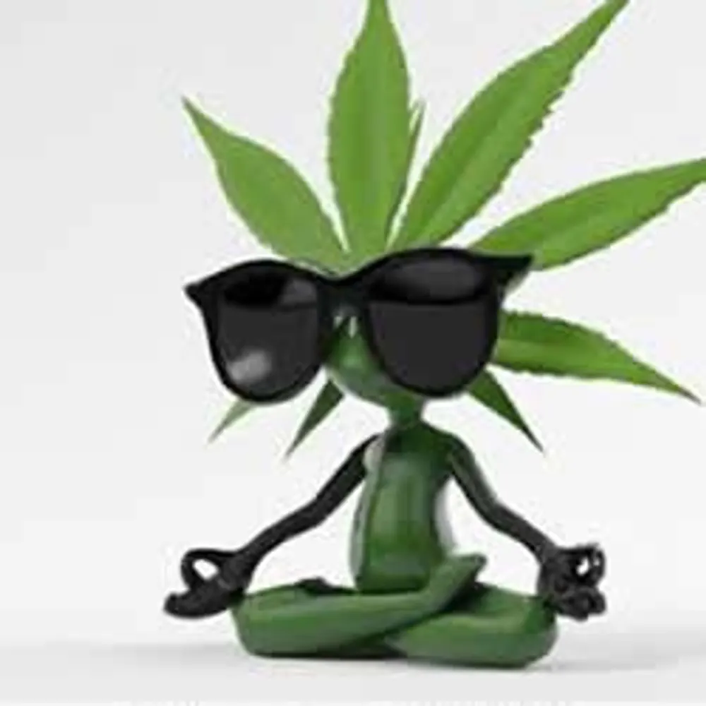 weedbay.net's profile picture