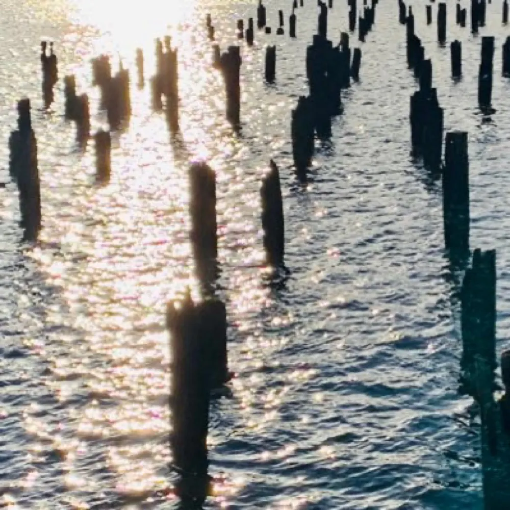 julmm.bsky.social's profile picture