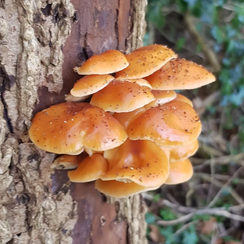 leetheranger.bsky.social's profile picture